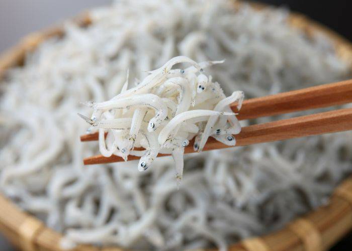 A pair of chopsticks holding a bunch of shirasu whitebait. In the background, a full bowl of shirasu.